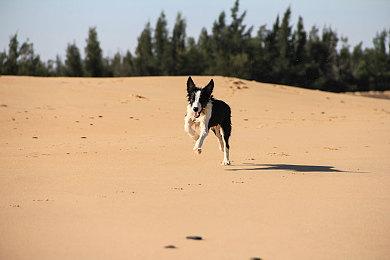 Bungie推出《命运2：终焉之形》发布预告片